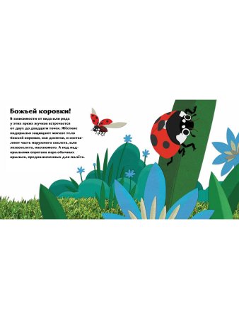 Птицы и букашки: от носа до хвоста